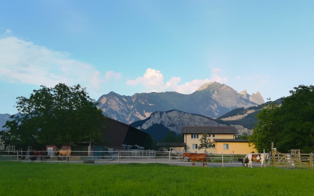 Fleisch vom Angusrind aus Sargans