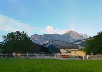 Fleisch vom Angusrind aus Sargans